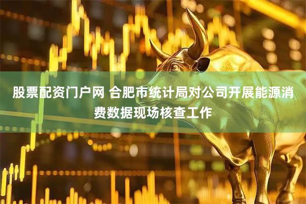股票配资门户网 合肥市统计局对公司开展能源消费数据现场核查工作