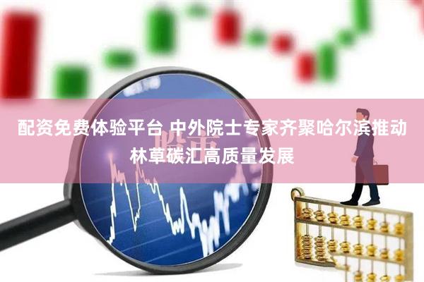 配资免费体验平台 中外院士专家齐聚哈尔滨推动林草碳汇高质量发展