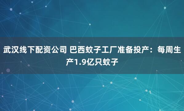 武汉线下配资公司 巴西蚊子工厂准备投产：每周生产1.9亿只蚊子