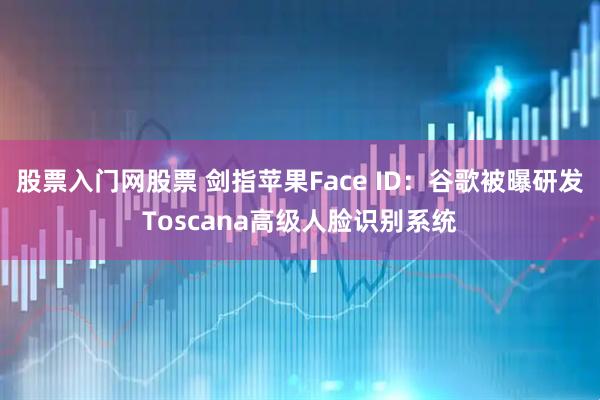 股票入门网股票 剑指苹果Face ID：谷歌被曝研发Toscana高级人脸识别系统