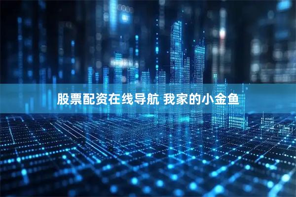 股票配资在线导航 我家的小金鱼